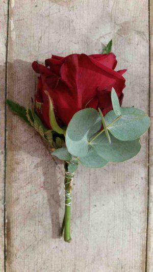 Knaphulsblomst